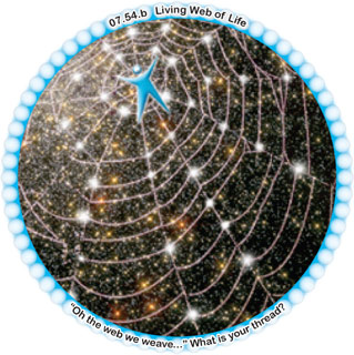 Living Web of Life