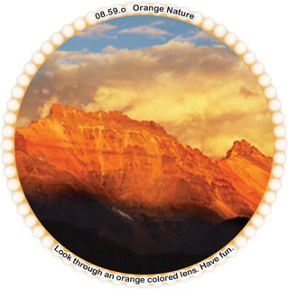 Orange Nature