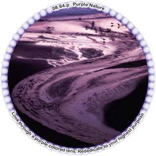 Purple Nature
