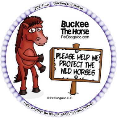 Buckee the Horse