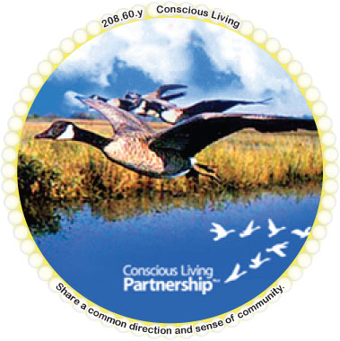 Conscious Living