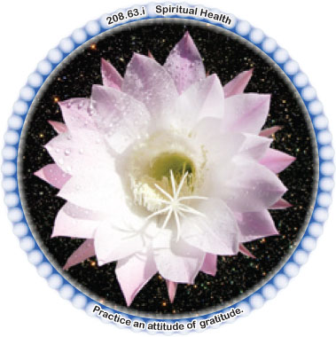 Spiritual Health