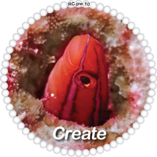 Create
