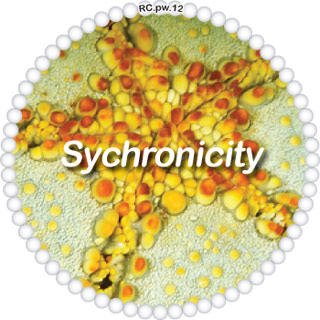 Sychronicity