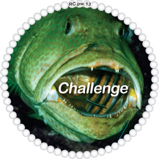Challenge