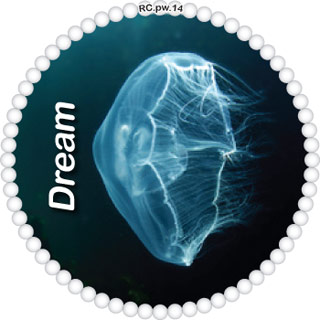 Dream