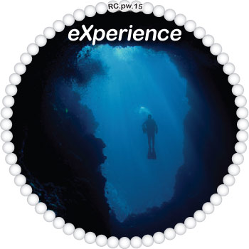 eXperience