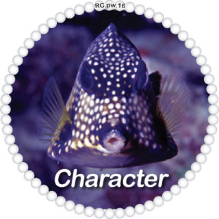 Character