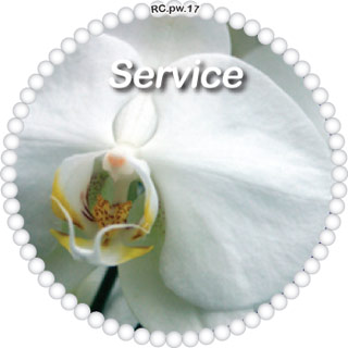Service