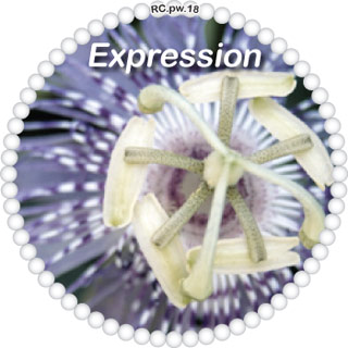 Expression