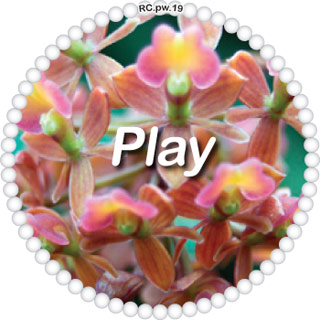 Play