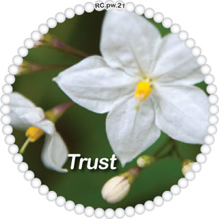 Trust