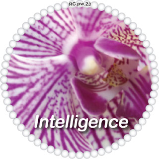 Intelligence