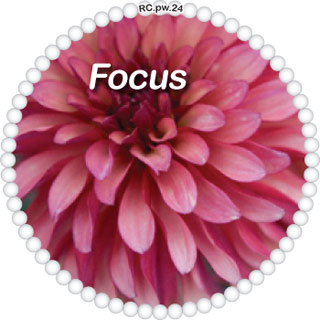 Focus