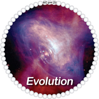 Evolution