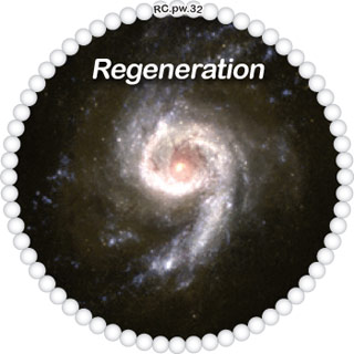 Regeneration